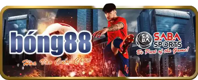 Nền tảng bảo mật của Roobet