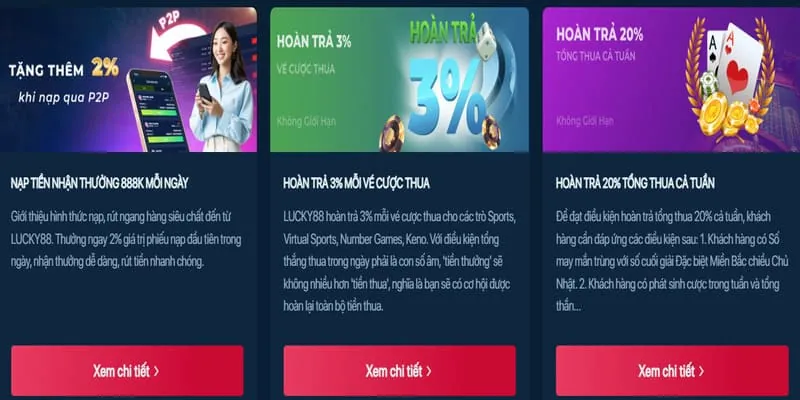 Hoàn Trả Tiền Cược Roobet